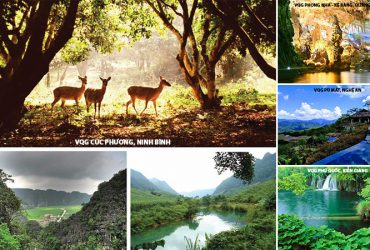 Discover the national parks in Vietnam voted by foreign newspapers
