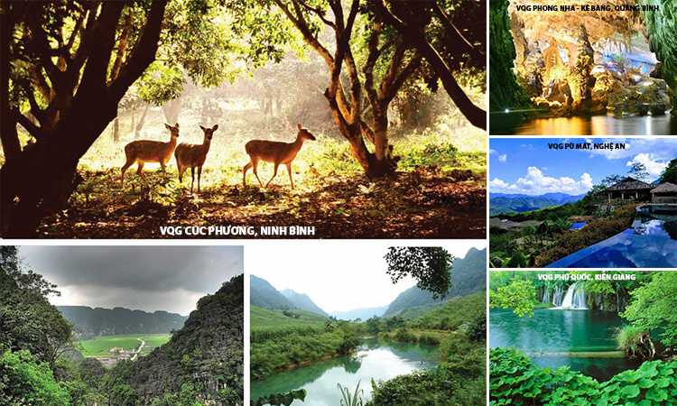 Discover the national parks in Vietnam voted by foreign newspapers