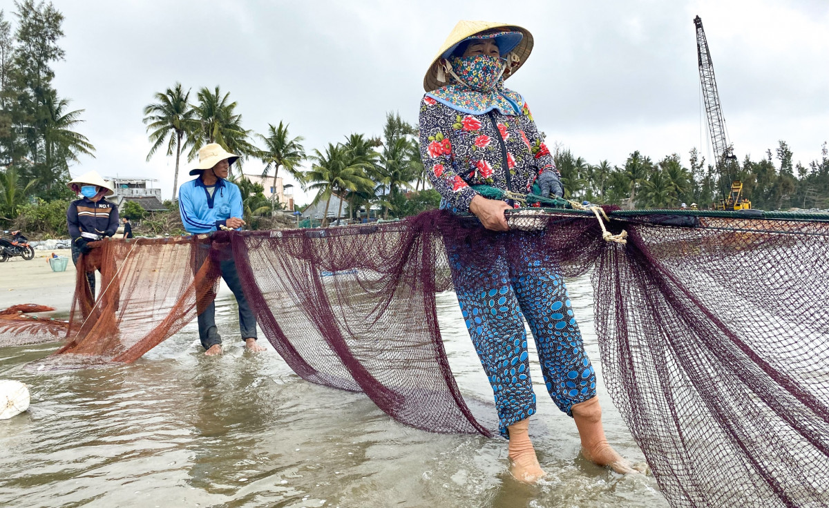 Follow in the footsteps of the fishermen who still have the craft of  pulling nets on the My Khe beach